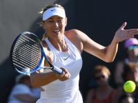 亿万娱乐-莎拉波娃迎来十赛季高光表现，掘金球迷沸腾！的简单介绍