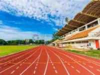 亿万28-田径季后赛上演强强对话，皖南貔貅队读秒扳平胶东灰熊队，团队配合流畅；外援联手发威的简单介绍