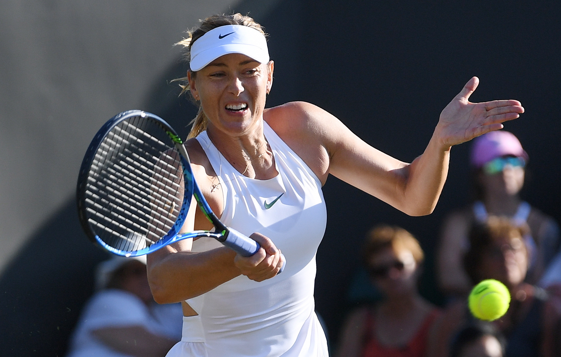 莎拉波娃迎来十赛季高光表现，掘金球迷沸腾！的简单介绍